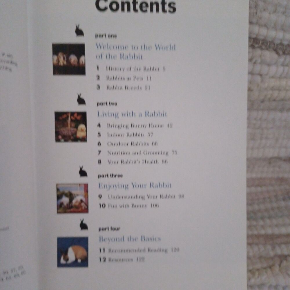 The Rabbit - An Owners Guide - Picture 3 of 4